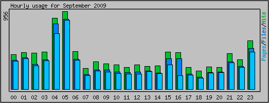 Hourly usage