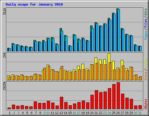 Daily usage for January 2010
