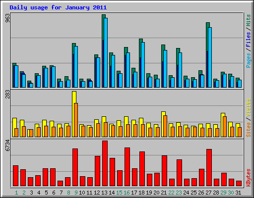 Daily usage for January 2011