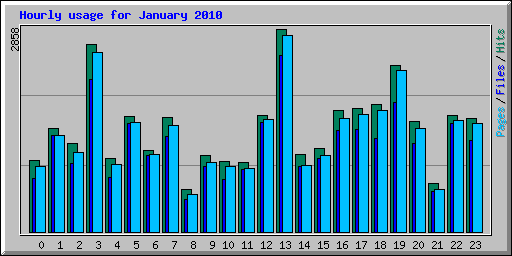 Hourly usage for January 2010