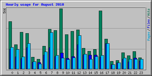 Hourly usage for August 2010